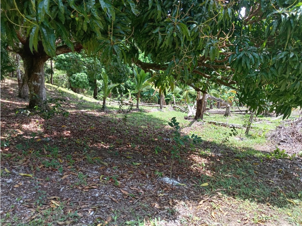 Venta de Finca Agroturística con 2 casas - 2