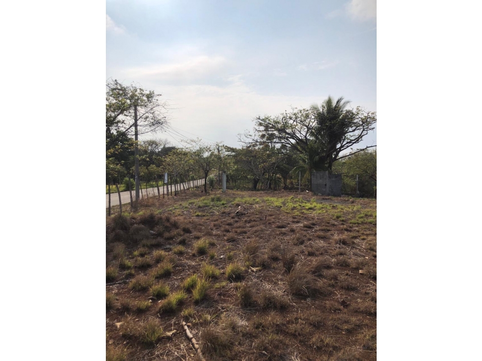 Venta de Terreno de 1543mts2 en Santa Catalina - Soná - Veraguas - 4