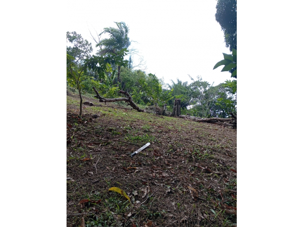 Venta de Finca Agroturística con 2 casas - 6