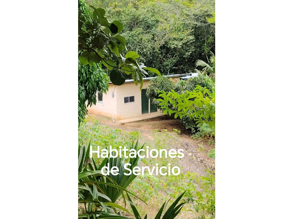 Venta de Finca Agroturística con 2 casas - 4