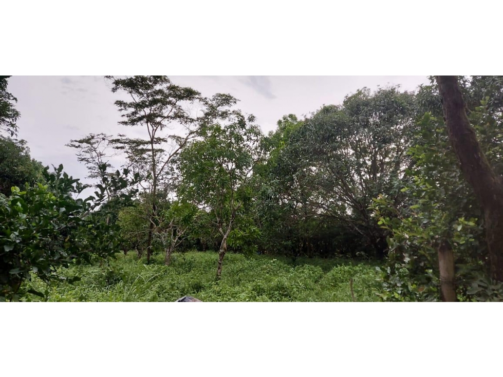 Se vende lote en exclusivo conjunto en Pompeya (vía a Puerto Lopez) - 3