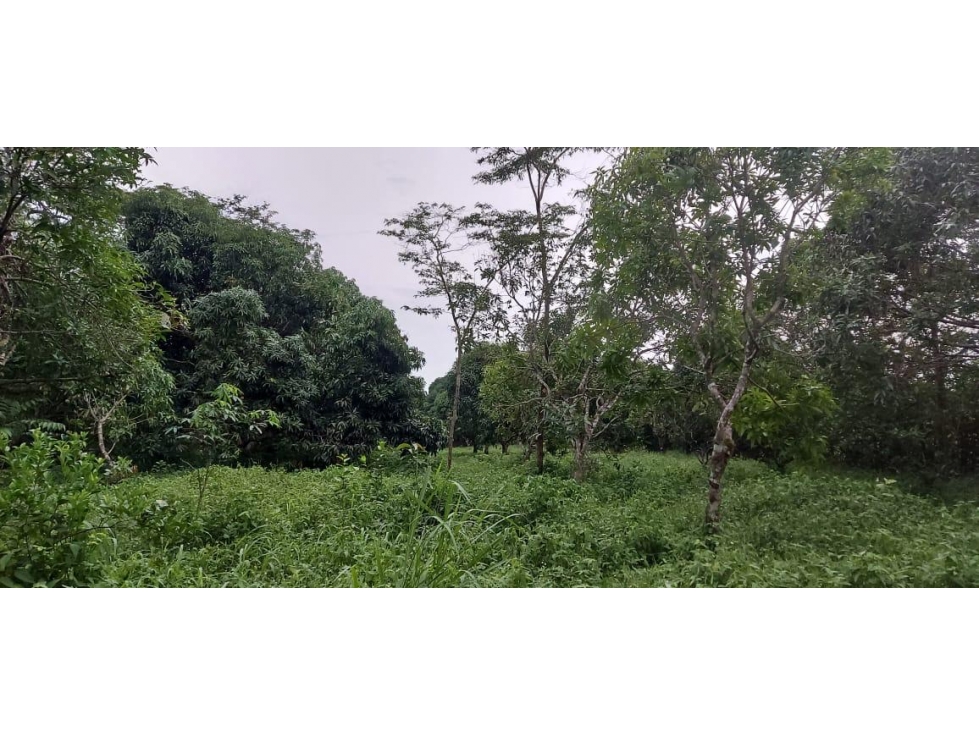 Se vende lote en exclusivo conjunto en Pompeya (vía a Puerto Lopez) - 5
