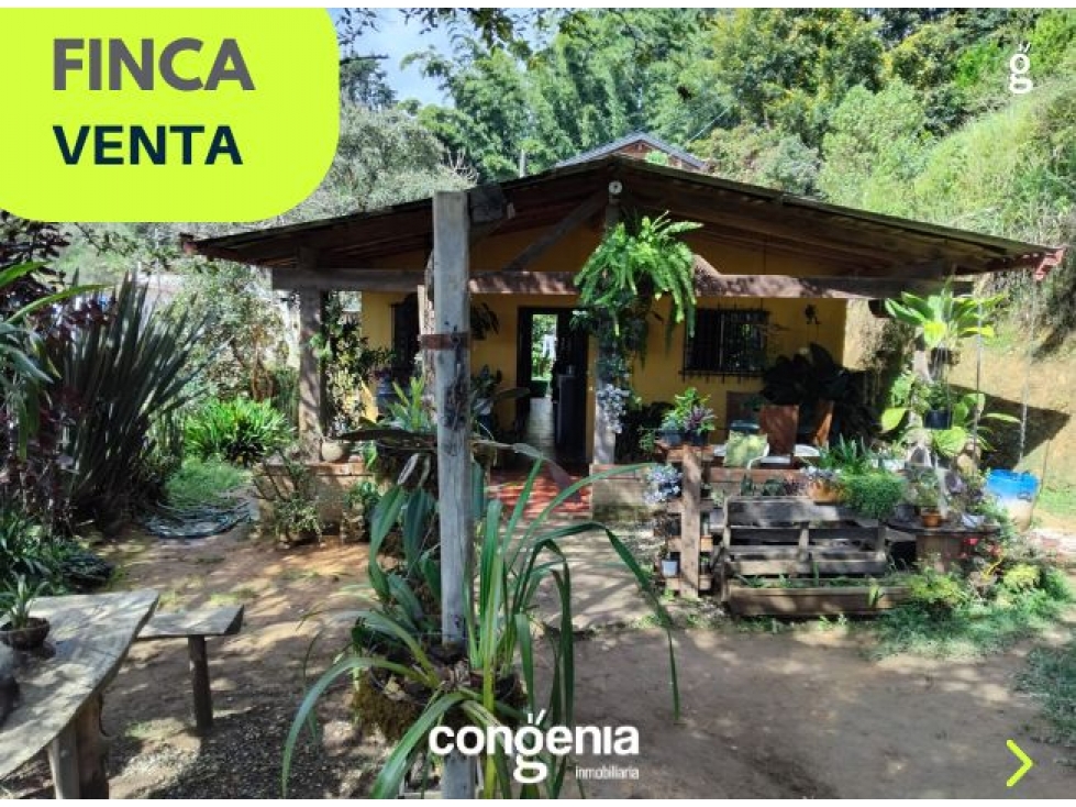 Finca en venta - Rionegro- La Laja