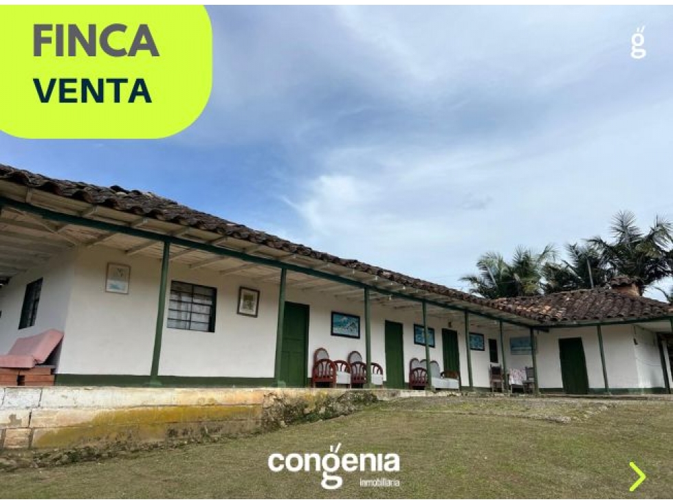 Finca en Venta para reformar el Carmen- Quirama