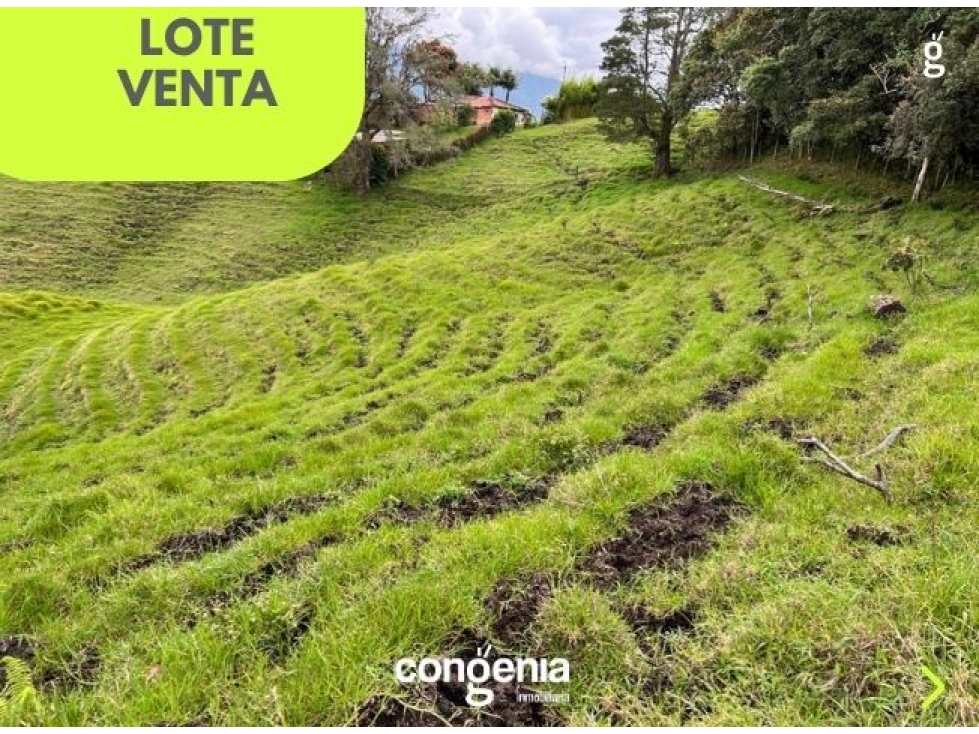 Lote en Venta quirama