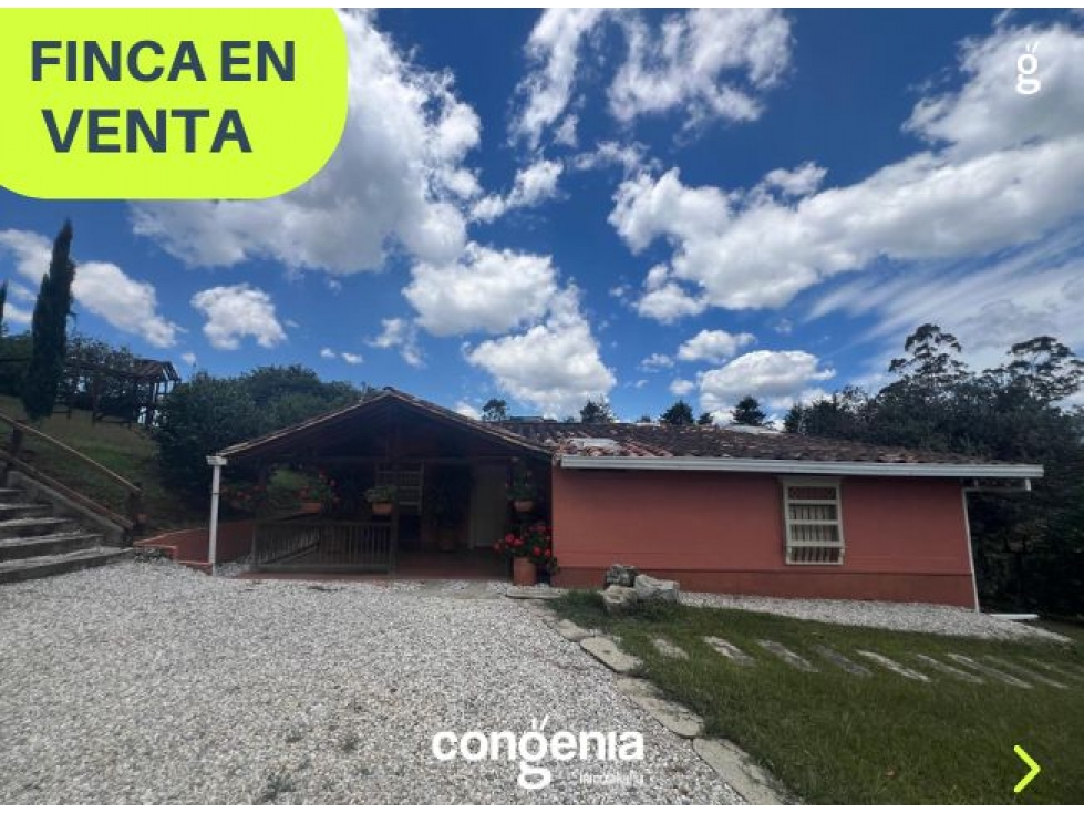 Finca en venta en el carmen de Viboral - Samaria