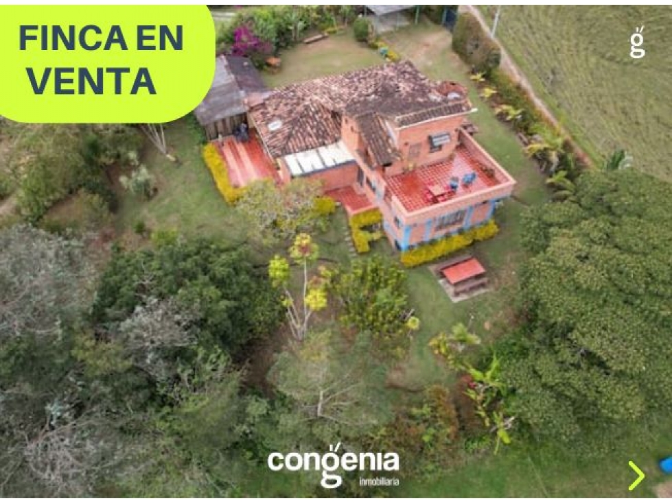 Finca en Venta - Marinilla