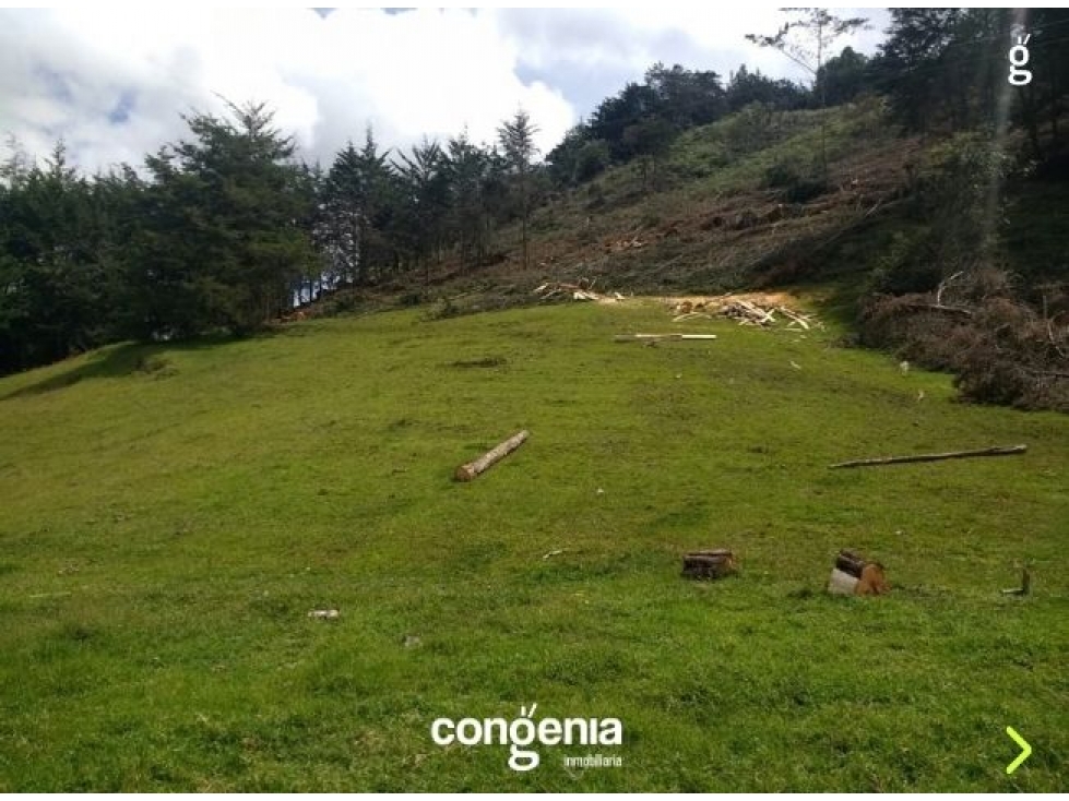 Lote en Venta - El Capiro