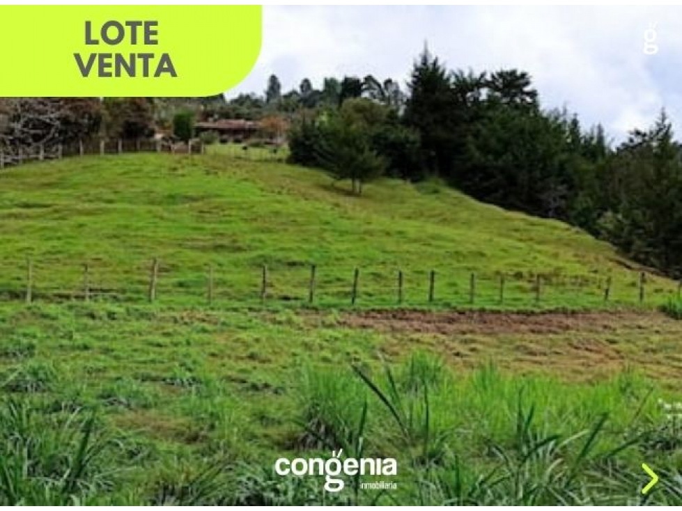 Lote en Venta- Rionegro - 1
