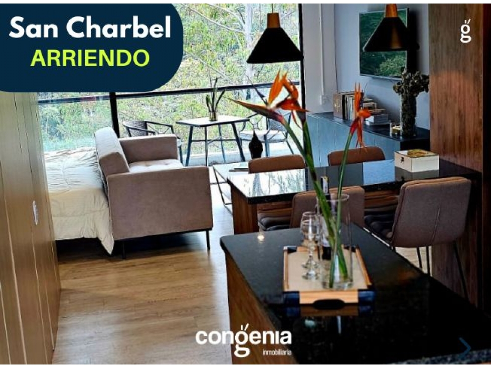 Apartamento Amoblado en arriendo el Retiro — foto 4