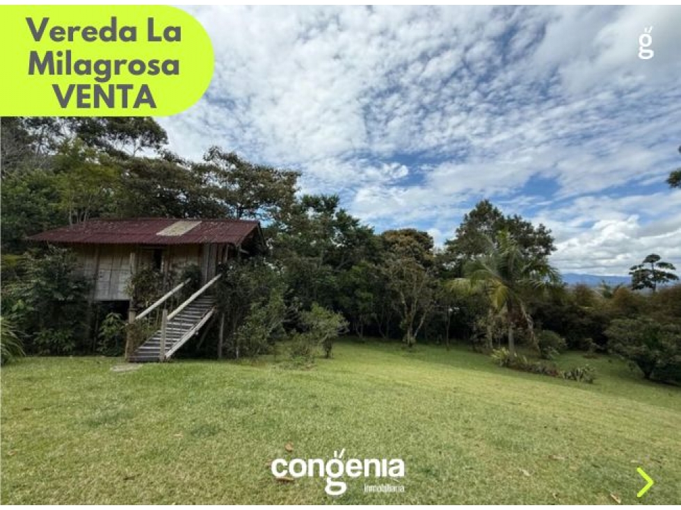 Venta Finca Vereda La Milagrosa El Carmen — foto 4