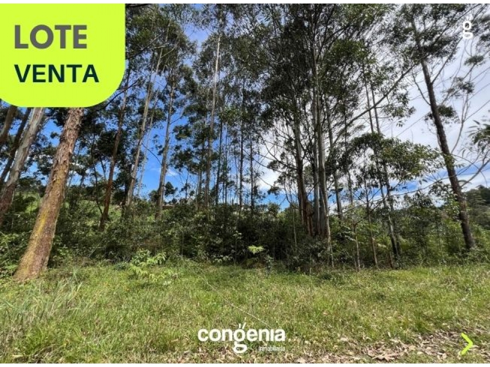 Lote en venta- Rionegro- Abreo