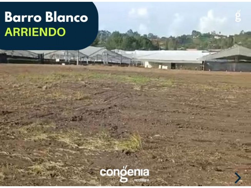 Lote en arriendo- Rionegro- Barro Blanco - 3