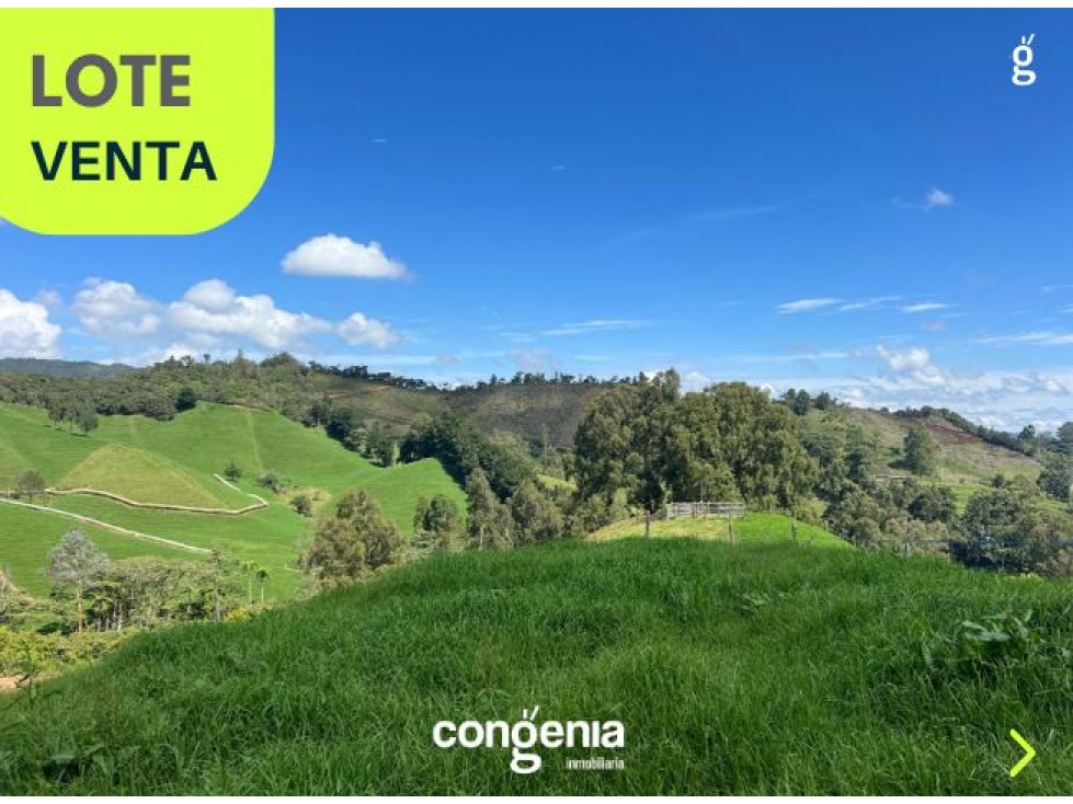 VENTA LOTE LA PEREIRITA LA CEJA
