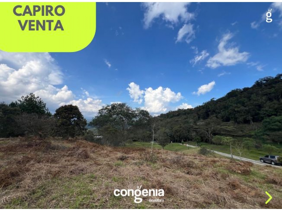 lote en venta en Rionegro- capiro — foto 3