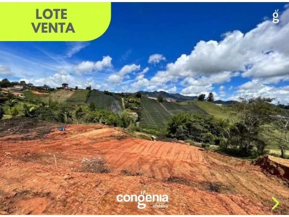 Lote en venta- Samaria