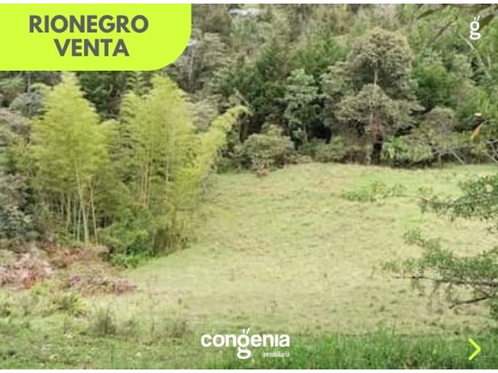 Lote en Venta- Rionegro - 2