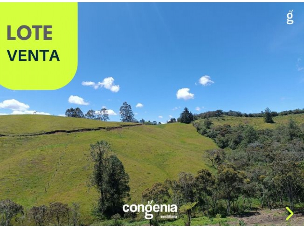 Lote en venta El Carmen de Viboral