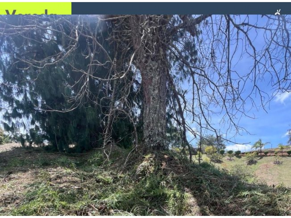 Lote para venta Guatape - 3