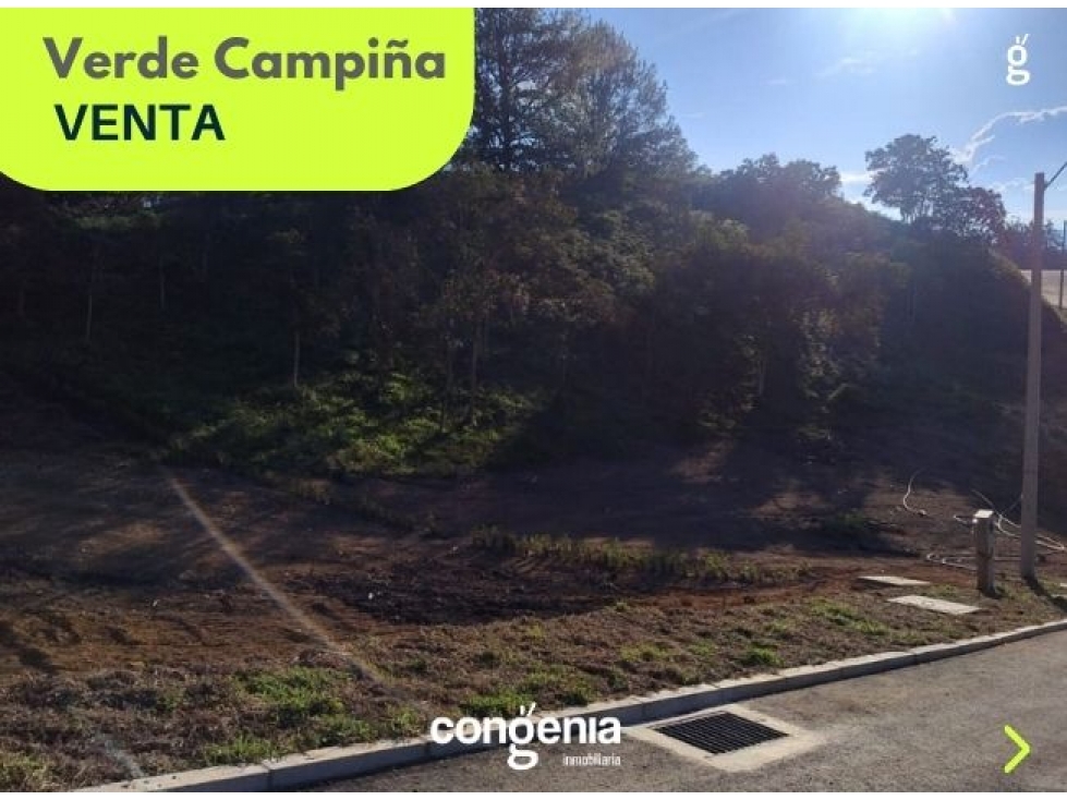 Lote en venta- El Carmen de Viboral- Verde Campiña — foto 6