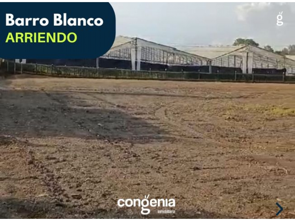 Lote en arriendo- Rionegro- Barro Blanco - 4
