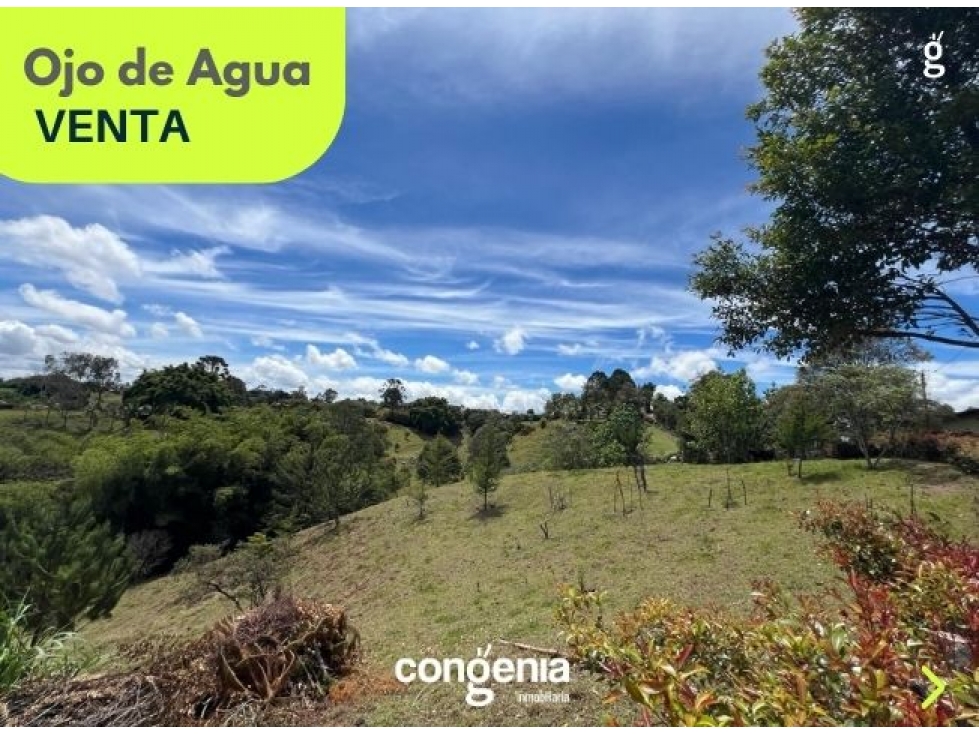 Lote en venta- Rionegro- Ojo de Agua