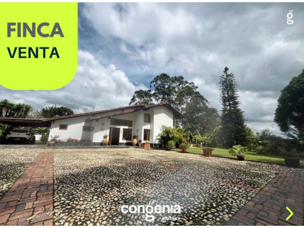 Finca en venta- El Carmen de Viboral- Lomas de San Angel