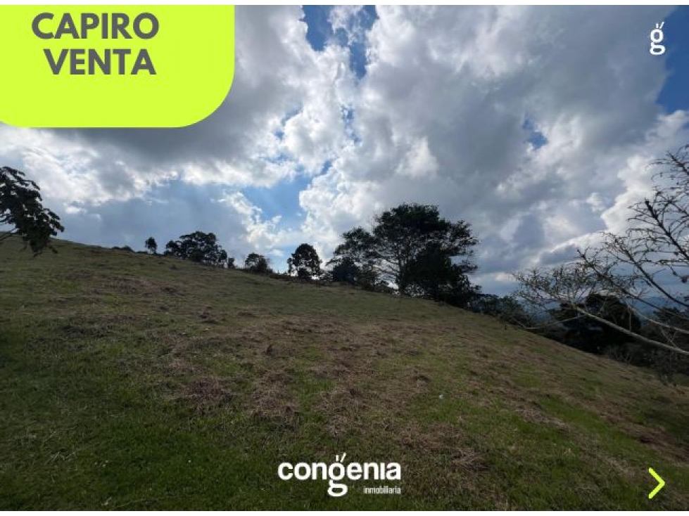 lote en venta en Rionegro- capiro — foto 4