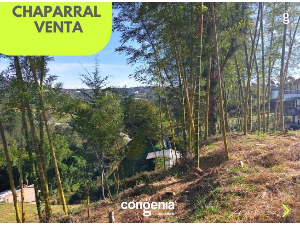 Lote en venta en San vicente — foto 3