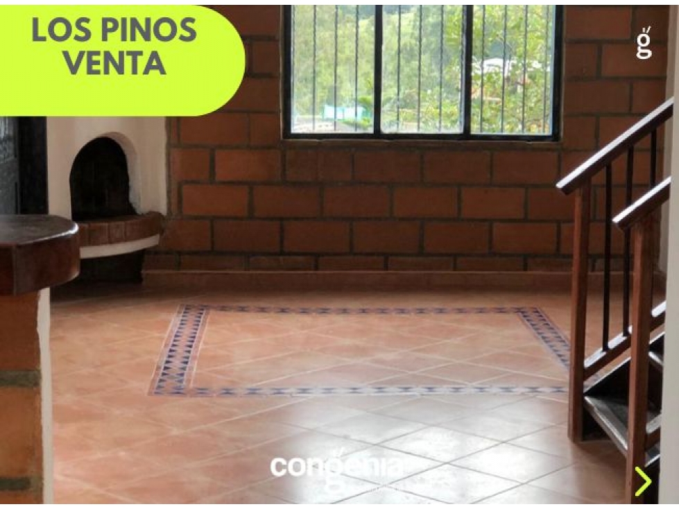 Finca en venta en Rionegro- los pinos — foto 3