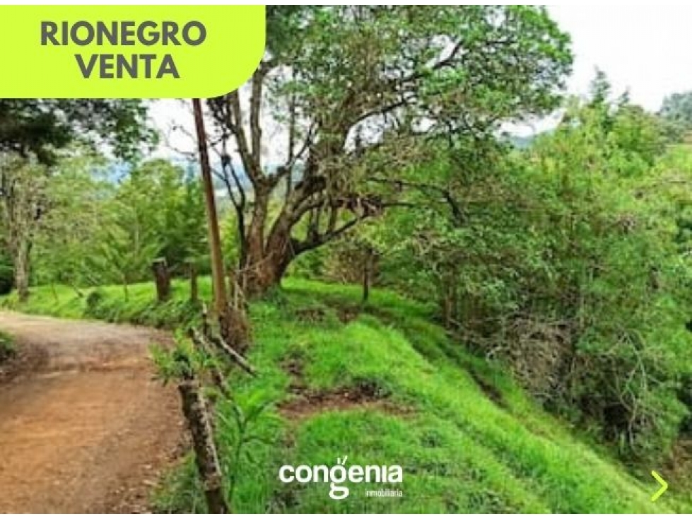 Lote en Venta- Rionegro - 3