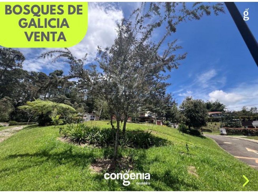 Lote en venta- Rionegro- Galicia