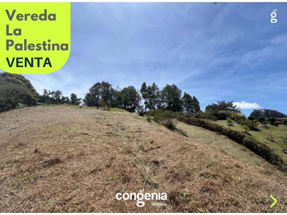 Lote para venta Guatape - 4