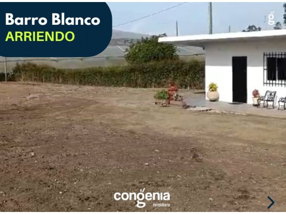 Lote en arriendo- Rionegro- Barro Blanco - 5