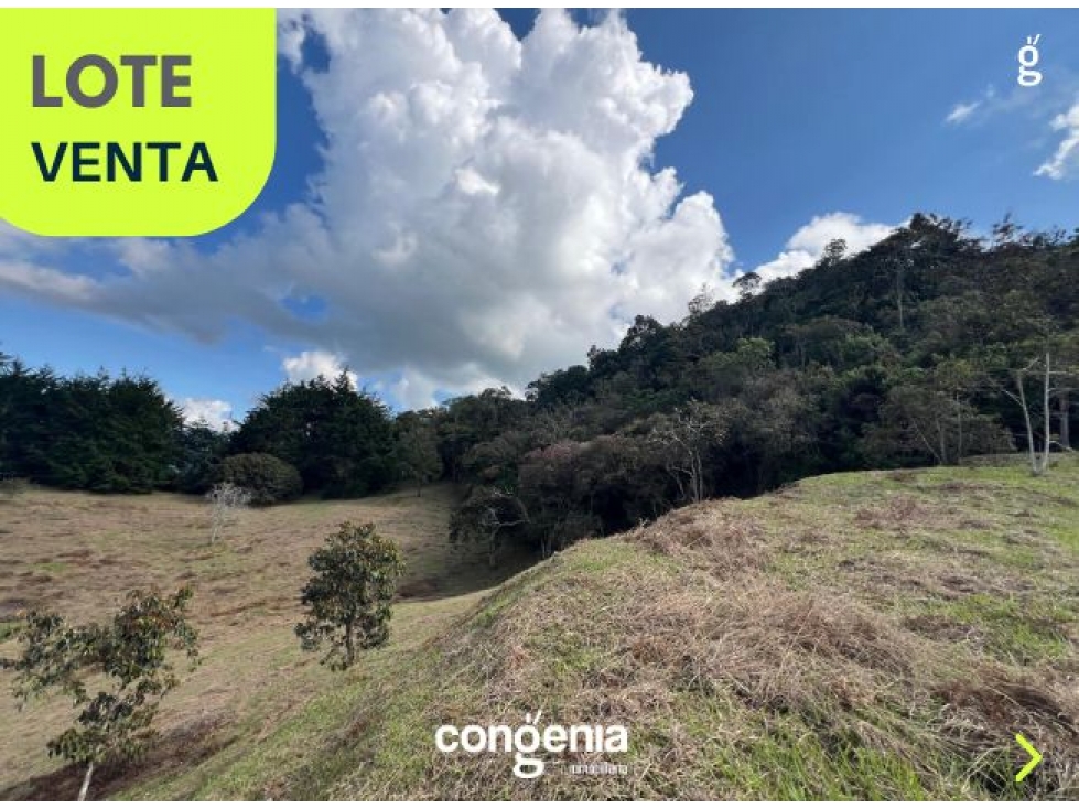 Lote en venta- Rionegro- Capiro — foto 3