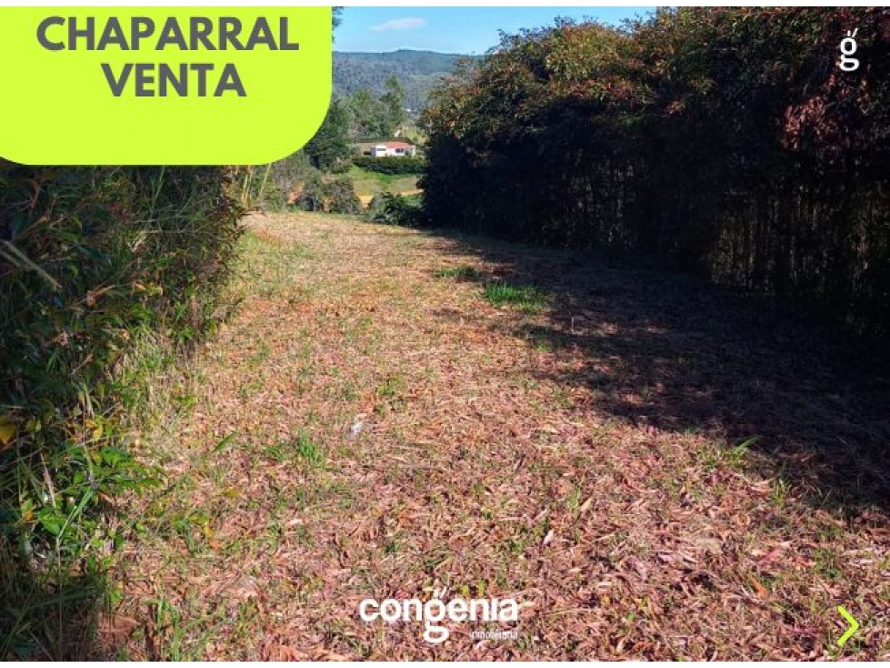Lote en venta en San vicente — foto 4
