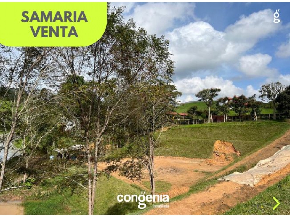 Lote en Venta en el Carmen de Viboral sector Samaria — foto 4