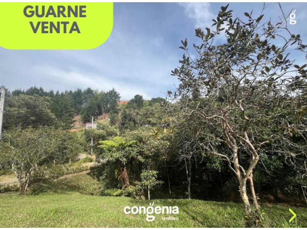 Lote en Venta en Guarne- Santa Elena — foto 4