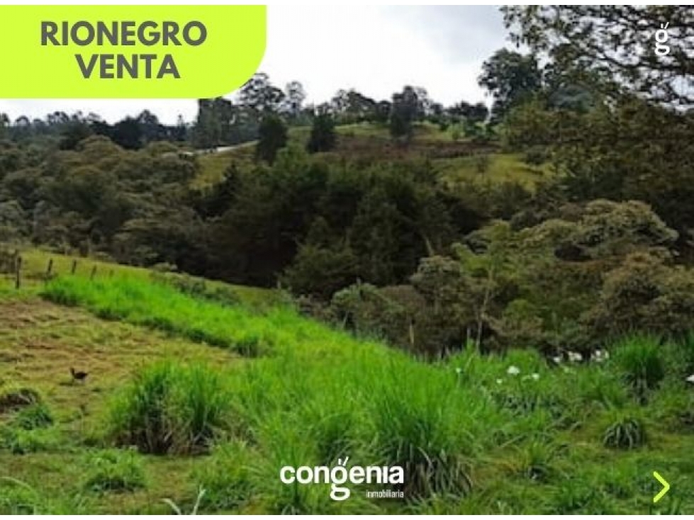Lote en Venta- Rionegro - 4