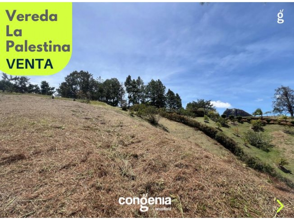 Lote para venta Guatape - 5