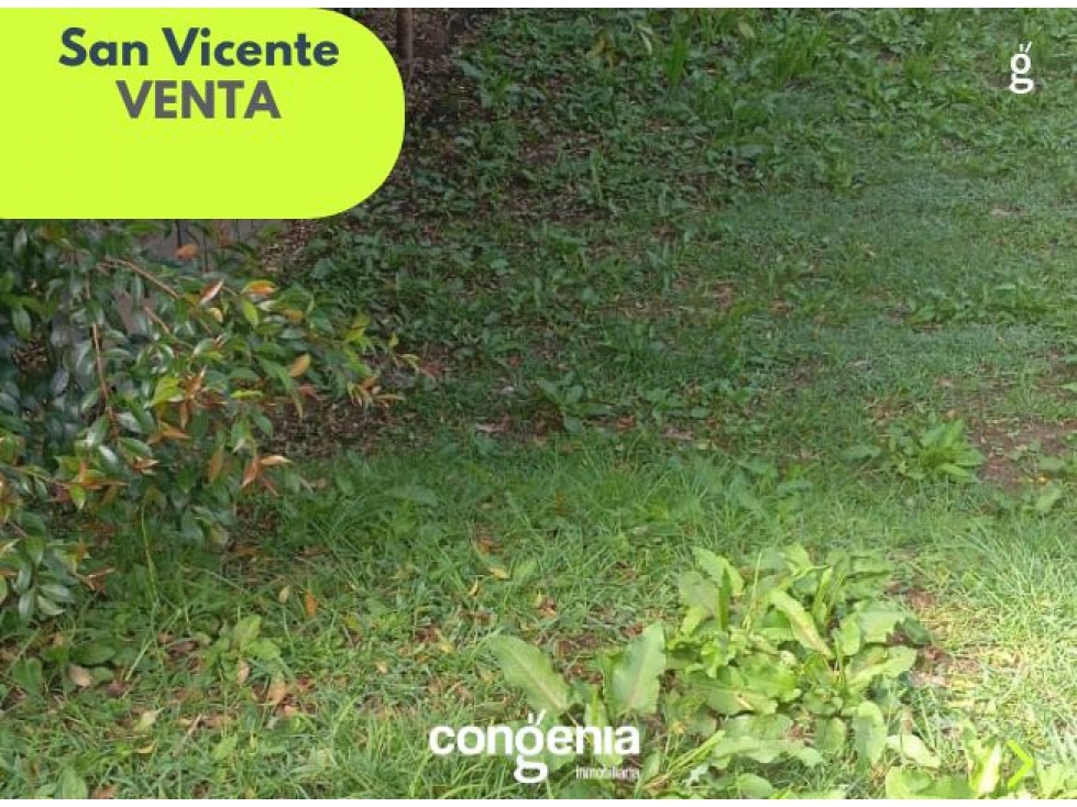Finca en Venta San Vicente de Ferrer — foto 5
