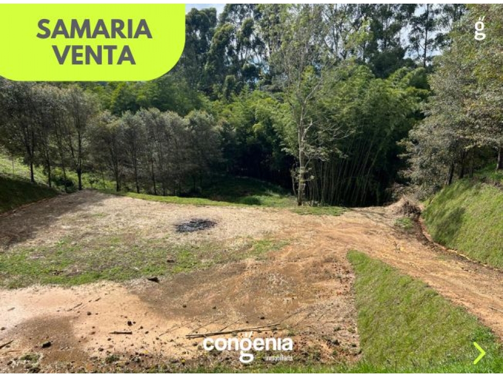 Lote en Venta en el Carmen de Viboral sector Samaria — foto 5