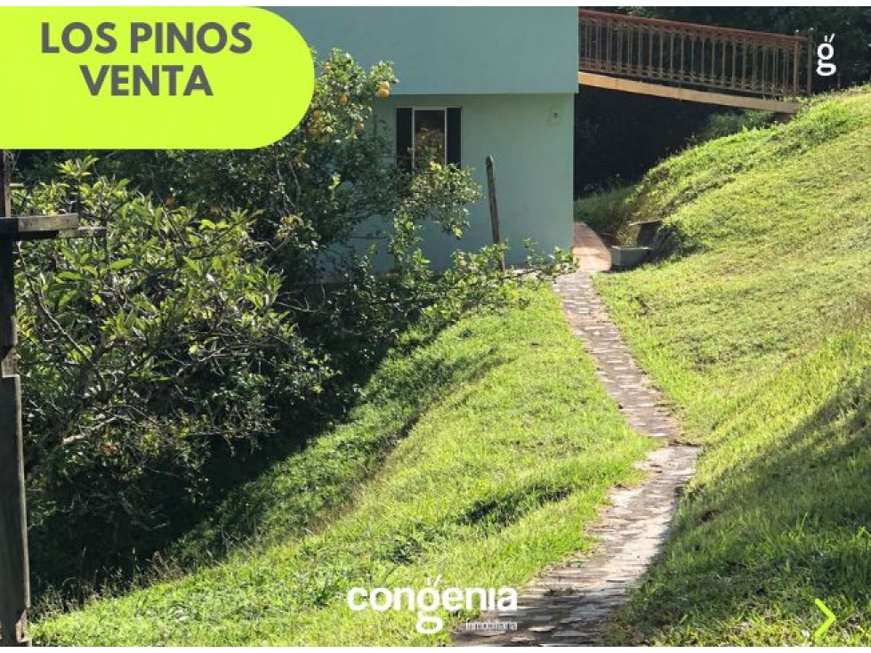 Finca en venta en Rionegro- los pinos — foto 5
