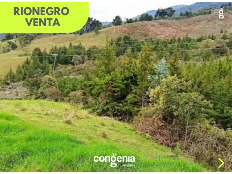 Lote en Venta- Rionegro - 5