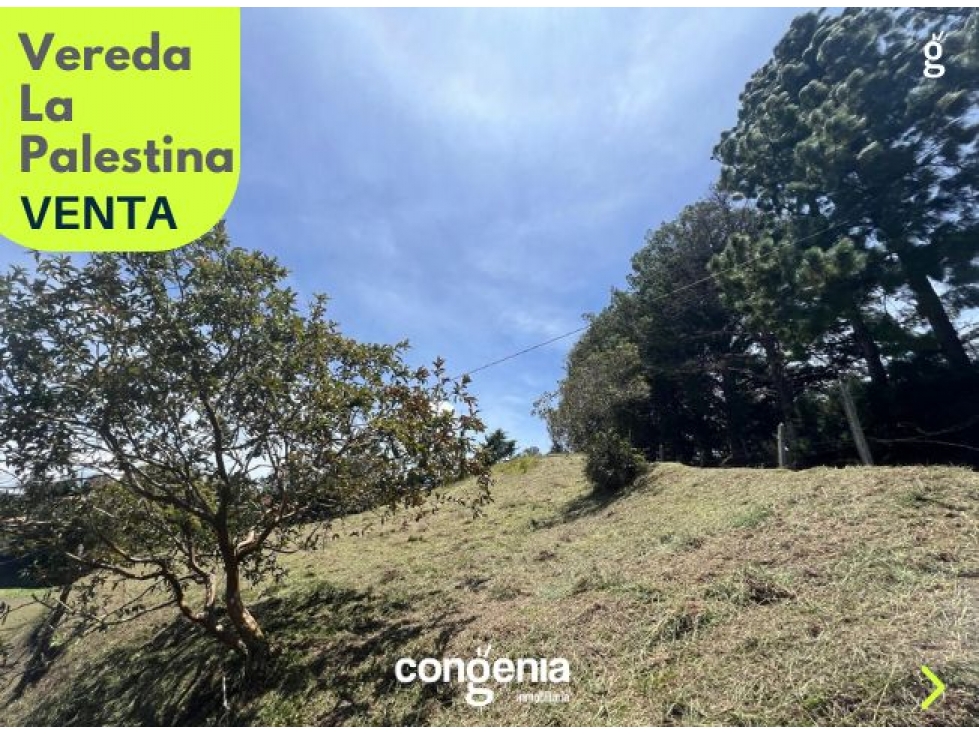 Lote para venta Guatape - 6