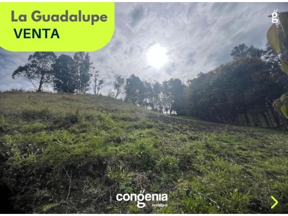 Lote en venta- El Carmen de Viboral- La Guadalupe — foto 5