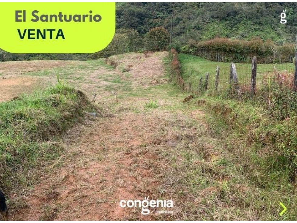Lote en venta- El Santuario- Vereda El Socorro — foto 6
