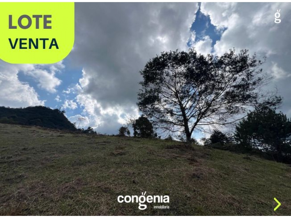 lote en venta en Rionegro- capiro