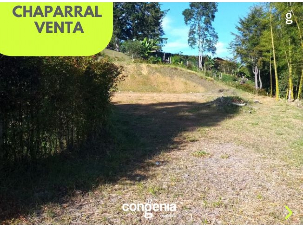 Lote en venta en San vicente — foto 6