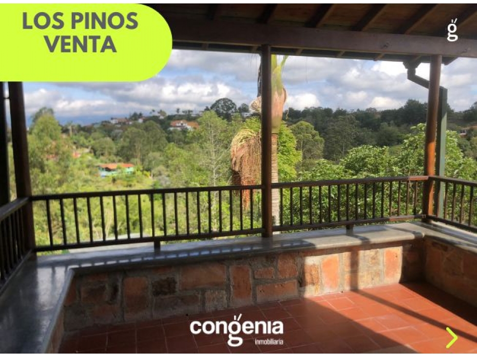 Finca en venta en Rionegro- los pinos — foto 6